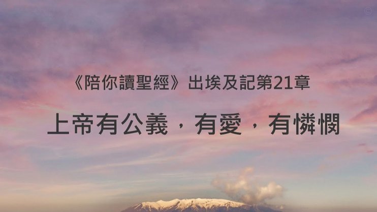 文学复兴的流量密码