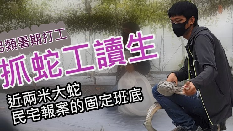 瑞士队世界杯训练营周围有蛇出没，当地共有四种有毒响尾蛇