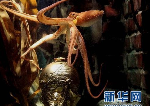 2010年的章鱼保罗将以AI形式回归，用以预测世界杯比赛结果