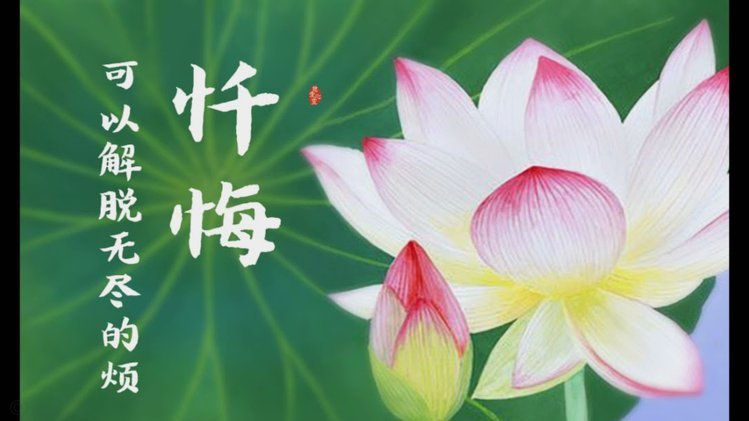 国少热度一天比一天高，本卢又双叒叕开始忏悔